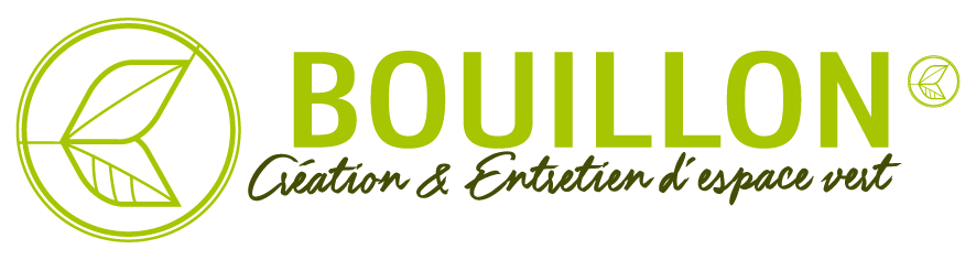 Bouillon création